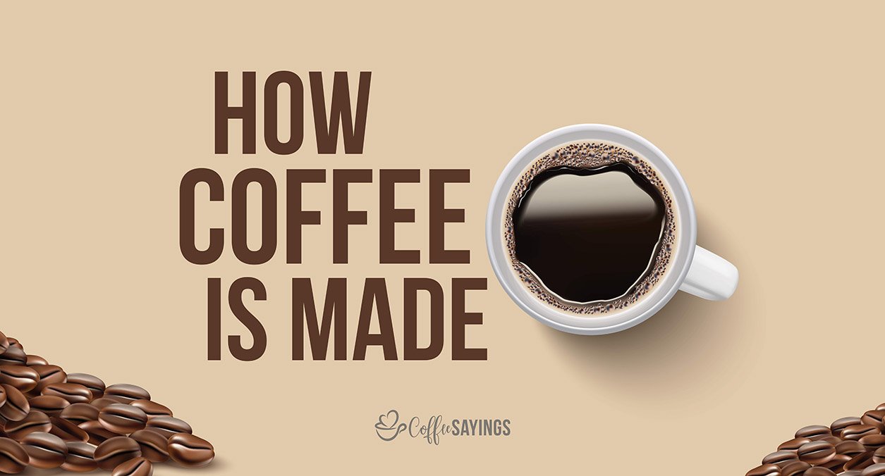 How is Coffee Made? History and Amazing Facts