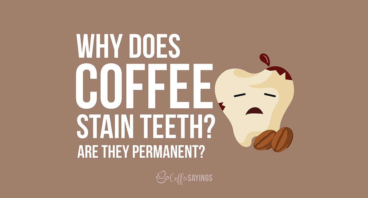 Why Does Coffee Stain Teeth? Are they Permanent?